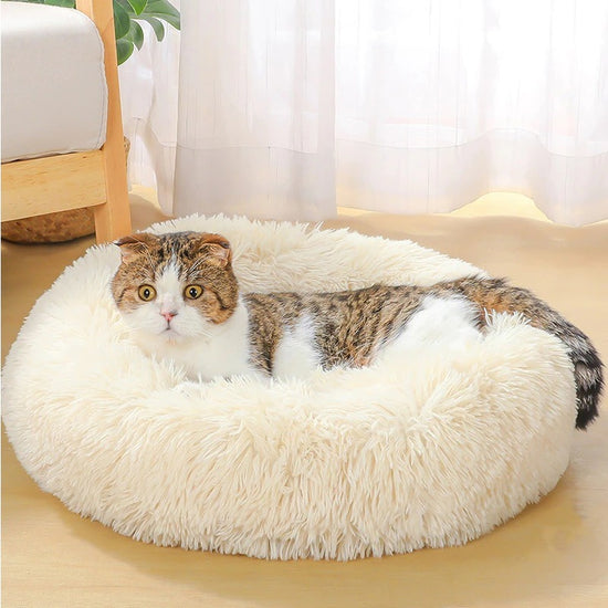 Super Soft Plush Dog Bed – Washable Pet Sofa for Deep Sleep